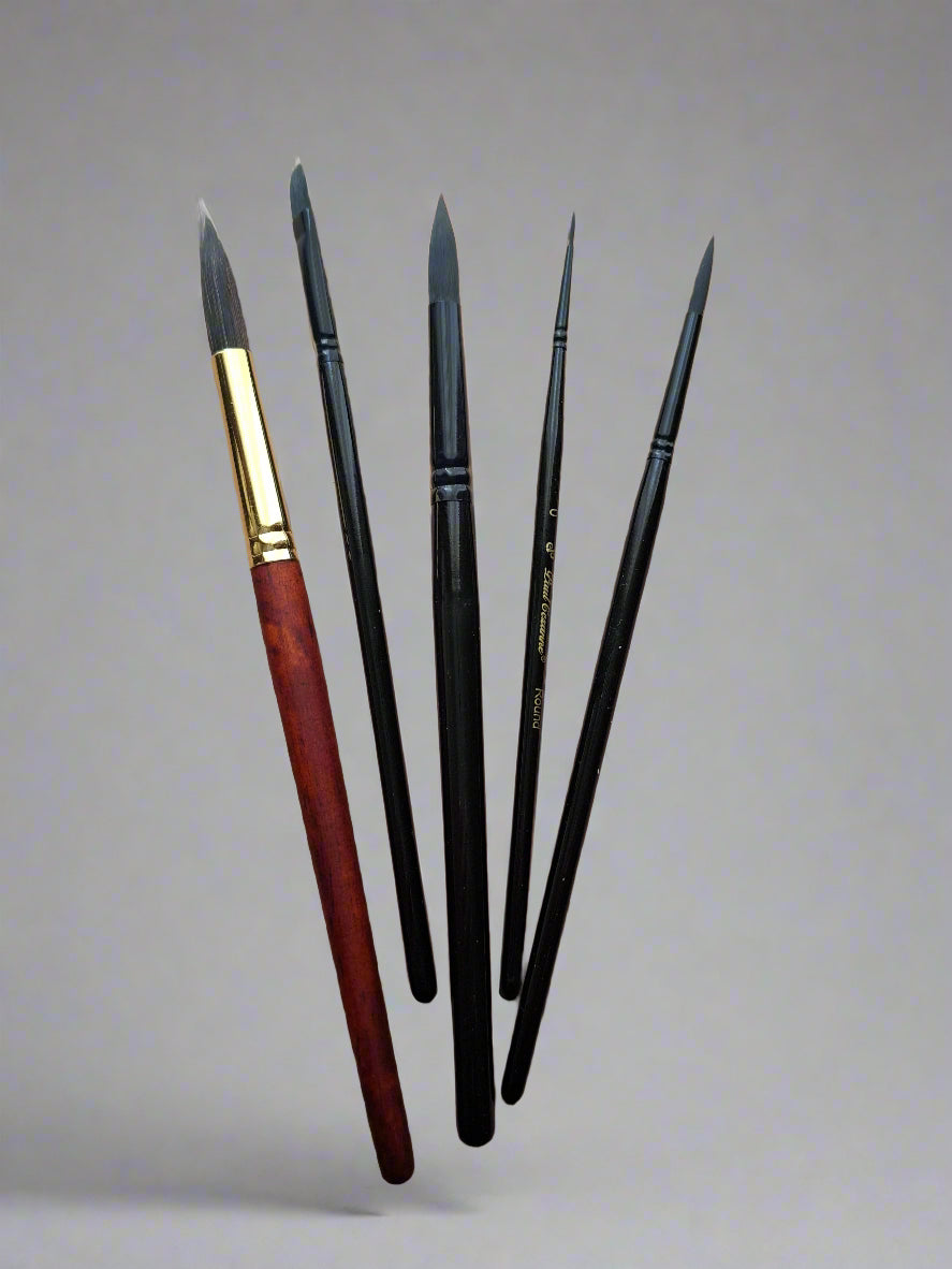 5-Piece Professional Watercolor Brush Set with Case