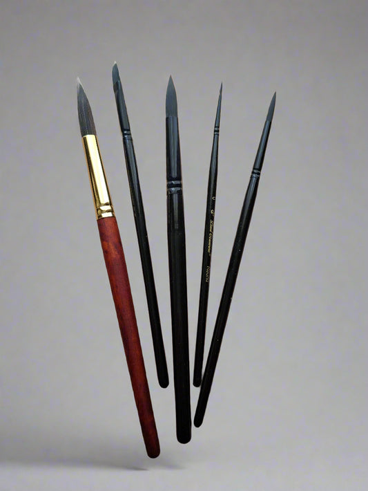 5-Piece Professional Watercolor Brush Set with Case